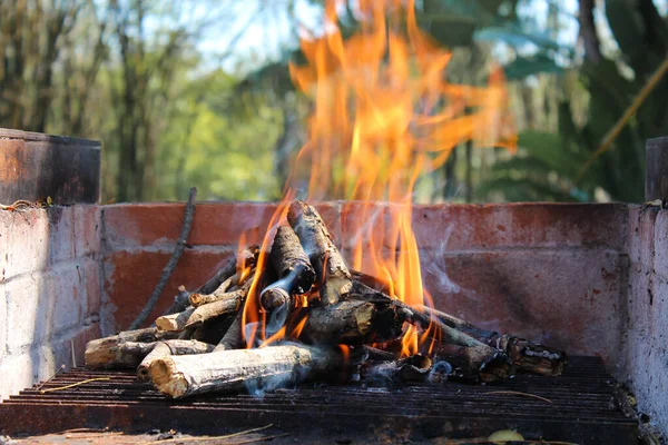 Llamas Ardiendo Horno Leña — Foto de Stock