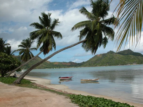 Enslig Strand Seychellerna Seychellerna — Stockfoto