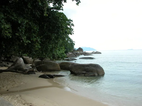 Lonely Beach Seychelles — Stock Photo, Image