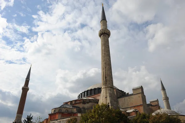 Istanbul Una Grande Città Della Turchia Che Trova Cavallo Dell — Foto Stock