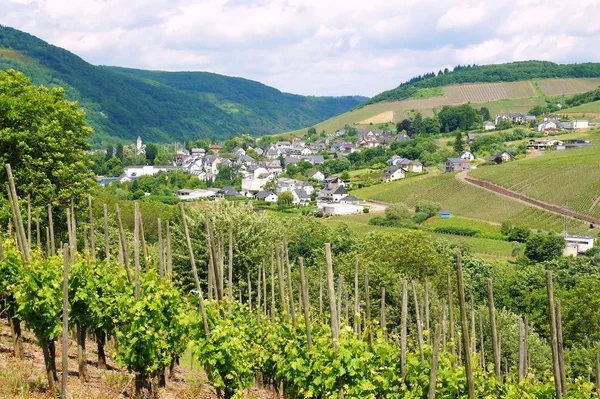 Moselle Nehri Fransa Lüksemburg Almanya Dan Geçen Bir Nehirdir — Stok fotoğraf