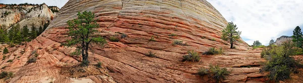 Kockás Tábla Mesa Zion Nemzeti Parkban Utah Usa — Stock Fotó