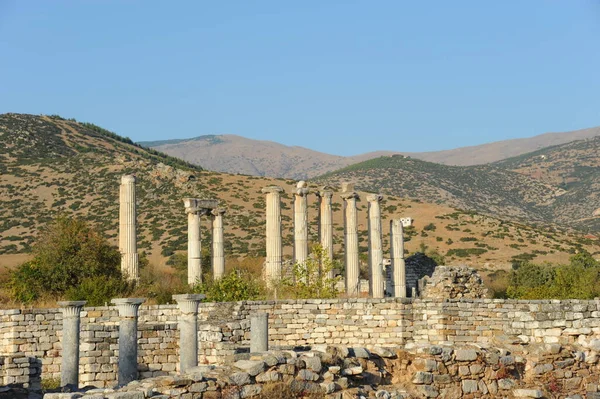 Γαλοπούλα Ephesus Στήλες Thater — Φωτογραφία Αρχείου