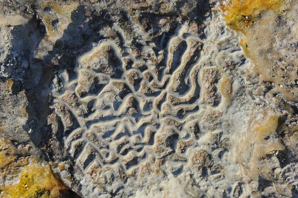 トルコ パムッカレ 石灰岩のテラス — ストック写真