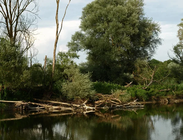 Schöne Aussicht Auf Die Natur — Stockfoto