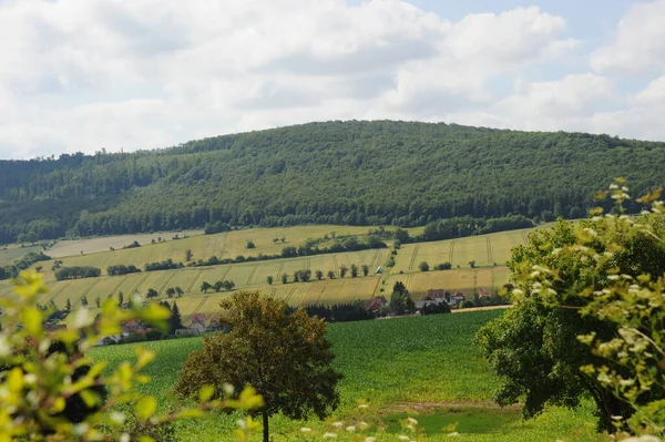 Erntezeitkonzept Hintergrund — Stockfoto