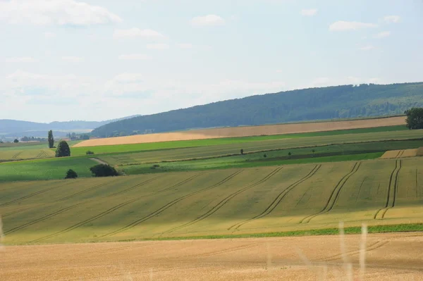 Erntezeitkonzept Hintergrund — Stockfoto