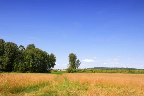 Přírodní Krajina Braniborsku — Stock fotografie