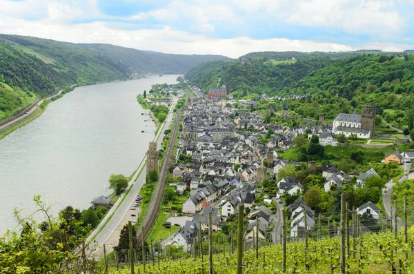 Paysage Rhin Dans Rhineland Palatinate — Photo