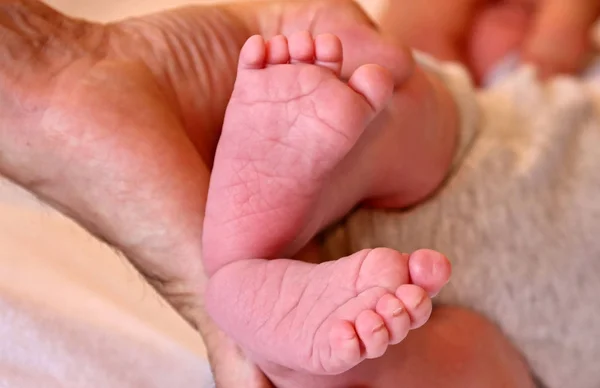 Niedliches Familienporträt Glückliche Elternschaft — Stockfoto