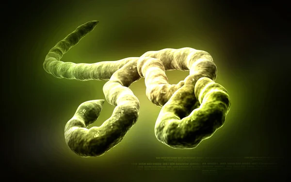 Digitální Ilustrace Viru Ebola Barevném Pozadí — Stock fotografie