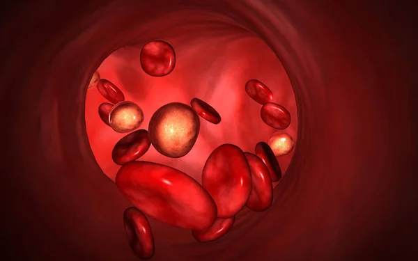 Illustrazione Digitale Delle Cellule Del Sangue Colori — Foto Stock