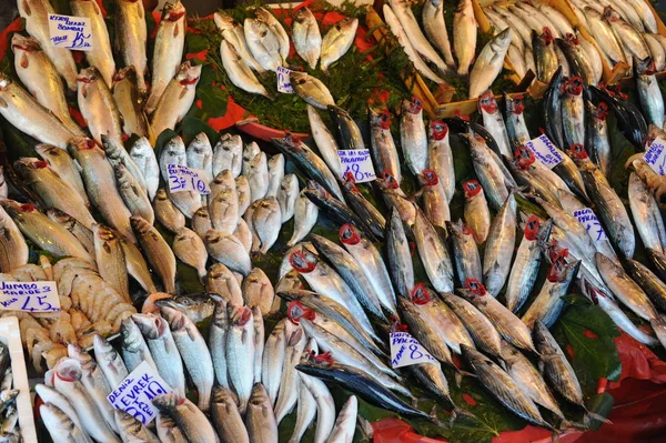 Poisson Frais Istanbul Dinde — Photo