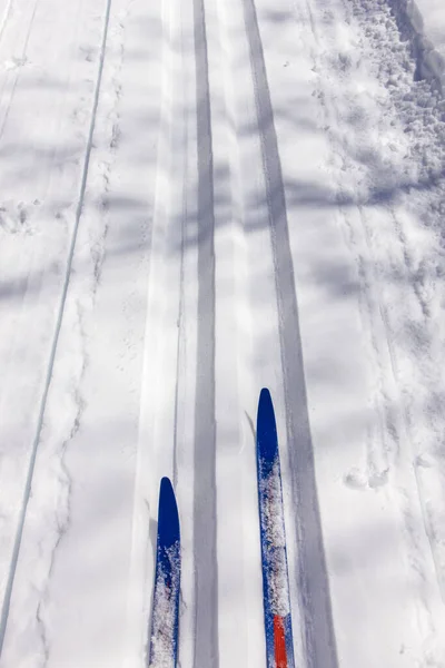 Στις Άλπεις Του Σκι Στο Χειμώνα — Φωτογραφία Αρχείου