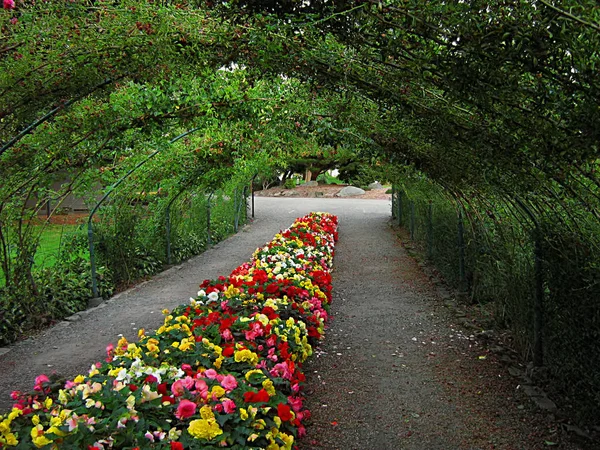 Uma Fotografia Jardim Flores Localizado Parque Público — Fotografia de Stock