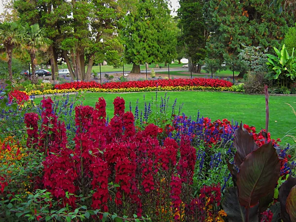 Photograph Flower Garden Located Public Park — Stock Photo, Image