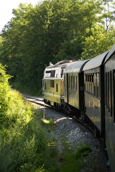 Vieux Train Dans Forêt — Photo