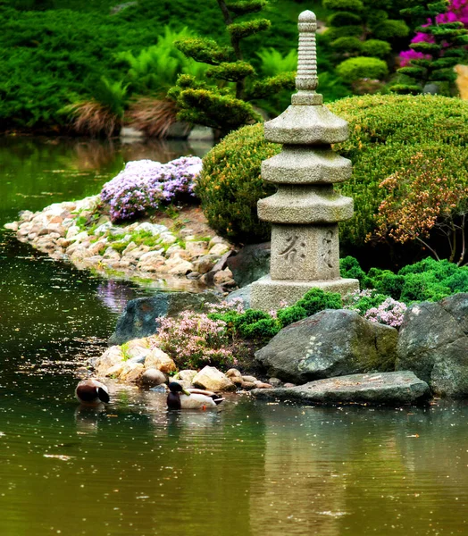 Japonská Zahrada Přírodní Flóra — Stock fotografie
