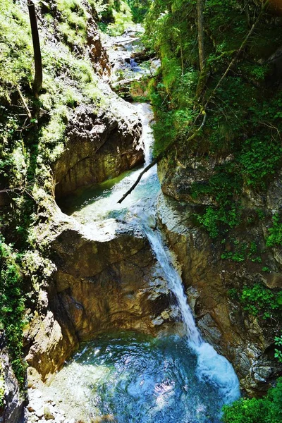 Doğanın Arka Planında Güzel Bir Şelale — Stok fotoğraf