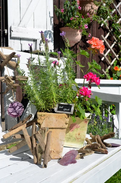 Decorazione Estiva Squallida Giardino — Foto Stock