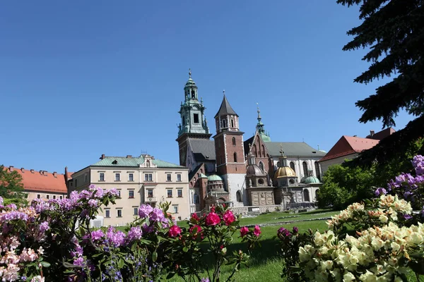 Wawel Tepesi Krakow Daki Kraliyet Kalesi — Stok fotoğraf