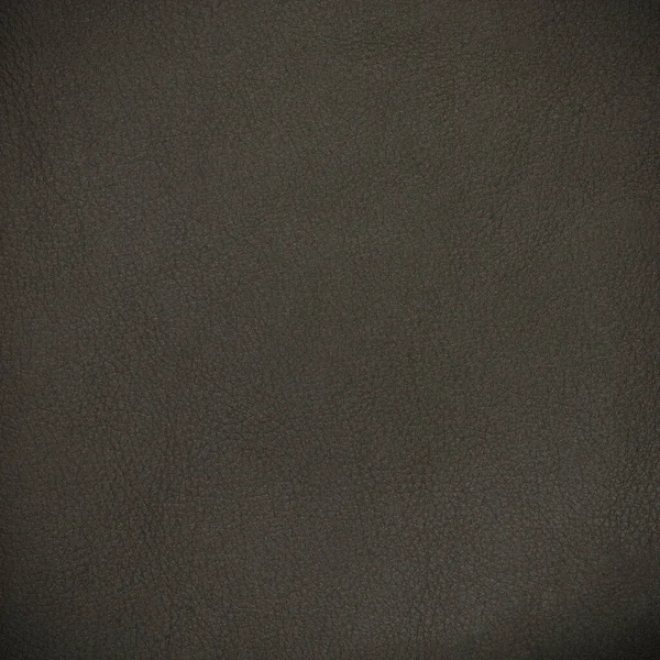 Grey Leather Texture Closeup Backgroud — Stock Photo, Image