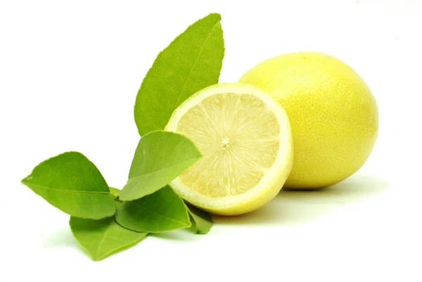 Limões Frescos Suculentos Citrinos — Fotografia de Stock