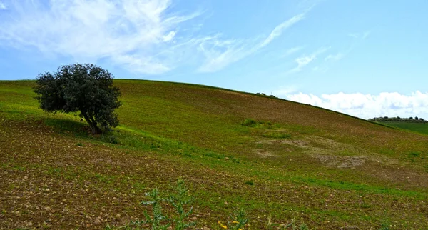 Paisagem Mediterrânica Natural Sicília — Fotografia de Stock