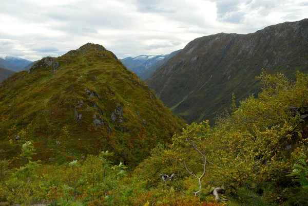 Norveç Doğa Manzarası Arka Planı Üzerine — Stok fotoğraf