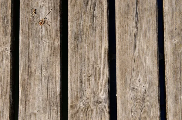 Weathered Wooden Planks Wooden Board — Stock Photo, Image