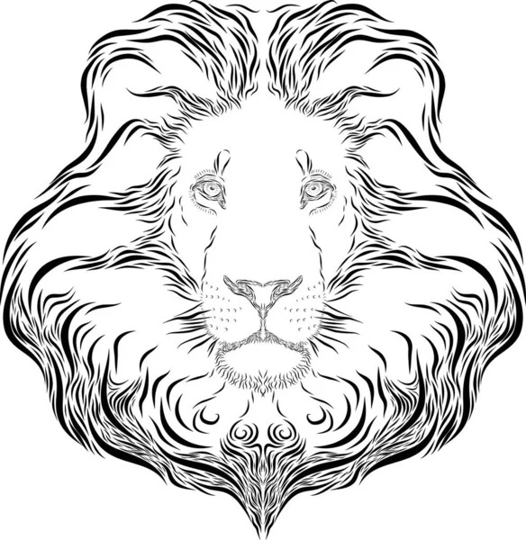 Ilustração Arte Linha Vetorial Uma Cabeça Leão — Fotografia de Stock