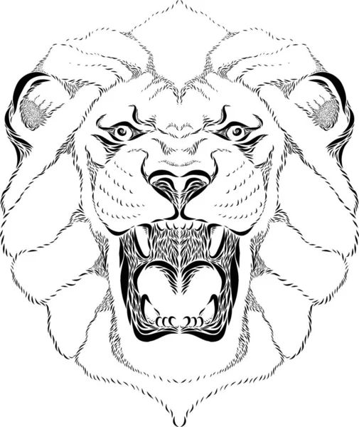 Vector Line Art Illustration Lion Head — Stock Photo, Image