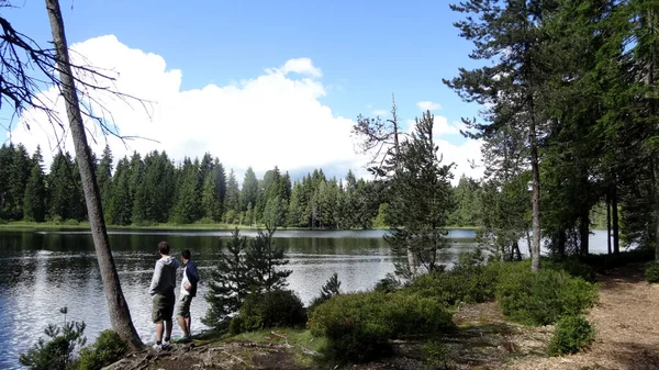 Schöne Aussicht Auf Die Natur — Stockfoto