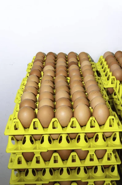 Сырые Яйца Полках Готовые Приготовлению — стоковое фото