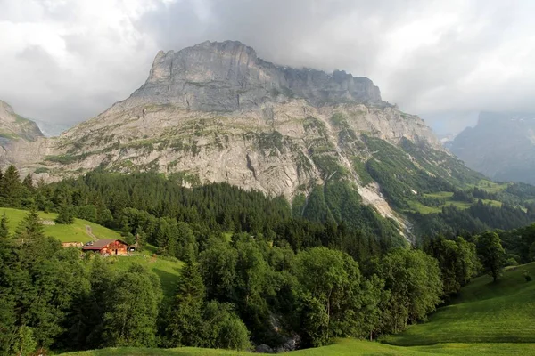 Caminho Grossen Scheidegg — Fotografia de Stock