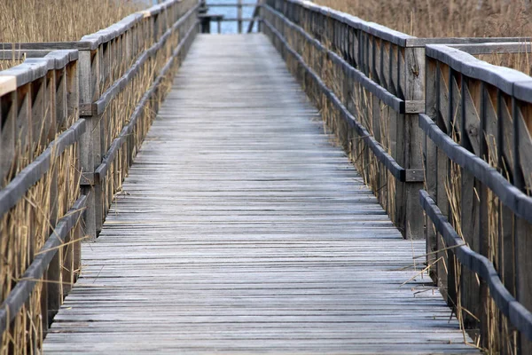 Scenic View Bridge Structure Architecture — Stock Photo, Image