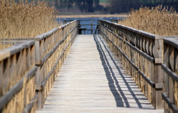 Scenic View Bridge Structure Architecture — Stock Photo, Image