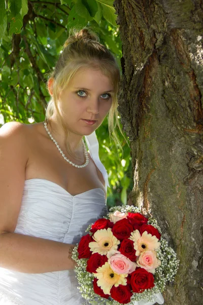 Noiva Mulher Vestido Casamento — Fotografia de Stock