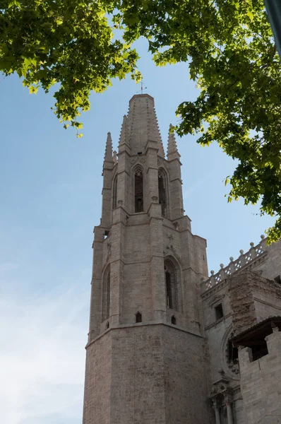 Catedral Santa Maria Girona —  Fotos de Stock