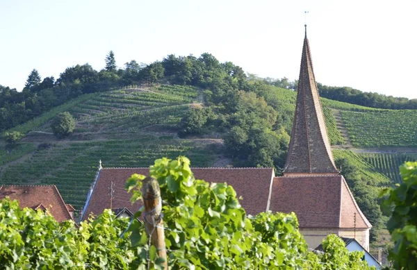 Scenic View Old Church — Stock Photo, Image