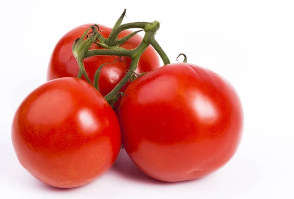 Czerwone Dojrzałe Pomidory Zbliżenie — Zdjęcie stockowe