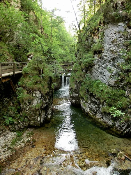 Bella Vista Della Scena Della Natura — Foto Stock