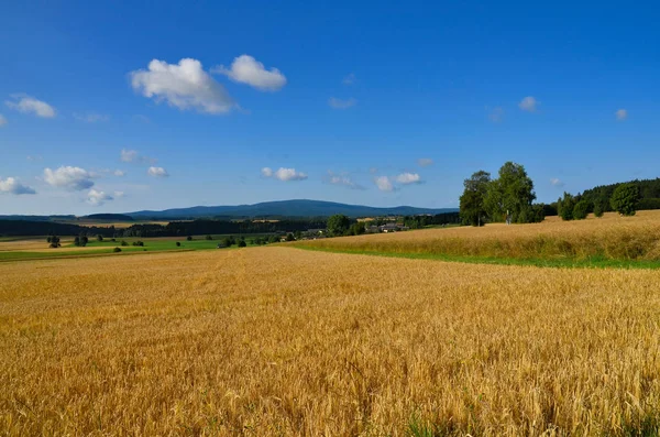 Baviera Hermosa Zona Tierra Alemania — Foto de Stock