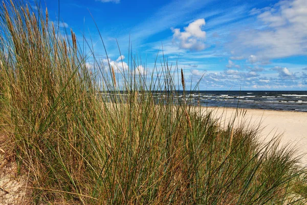 Vista Panoramica Sulla Spiaggia Del Mar Baltico — Foto Stock