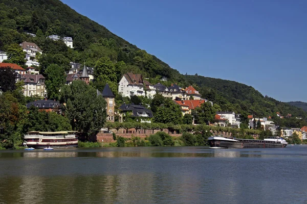 Neckar Heidelberg — Stock Photo, Image