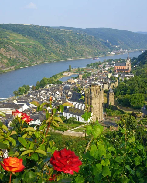 Oberwesel Rhein Middle Rhine Долина — стокове фото