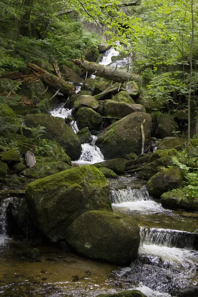 Vattenfall Liten Bäck — Stockfoto