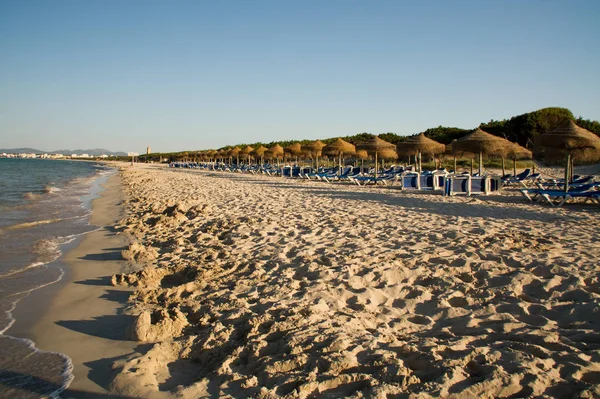 Parasole Przeciwsłoneczne Leżaki Plaży Alcudia Majorki — Zdjęcie stockowe