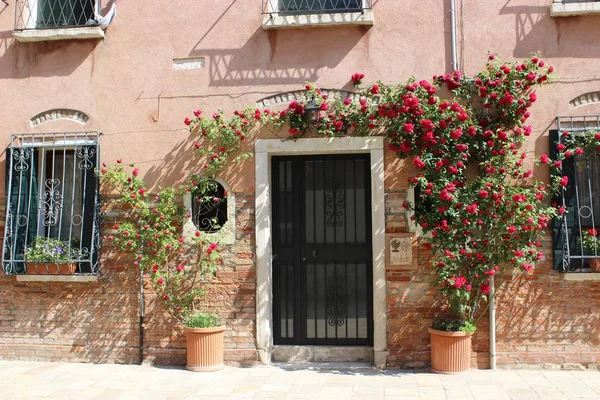Benátky Růže Vchodu — Stock fotografie