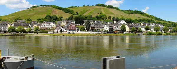 Zell Kaimt Moselle Panorama — Stock Photo, Image